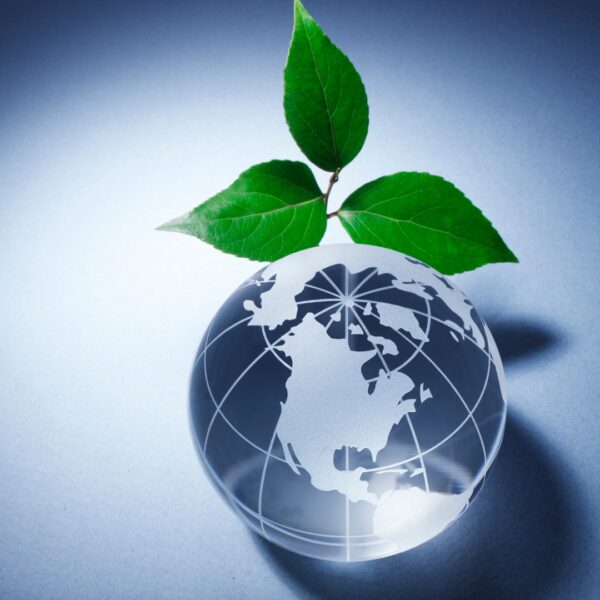 earth with leaf on top - environmental